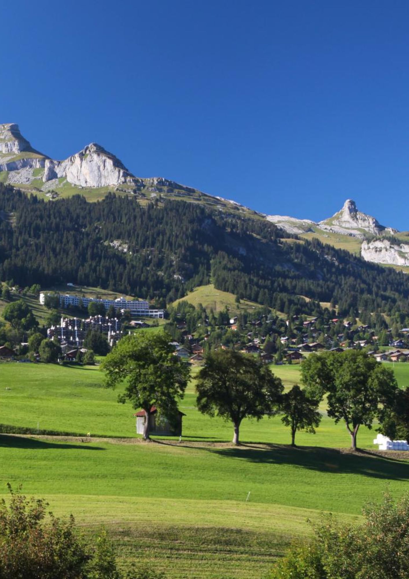 Leysin - Maraipolis 2026